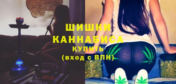 МДПВ Горнозаводск