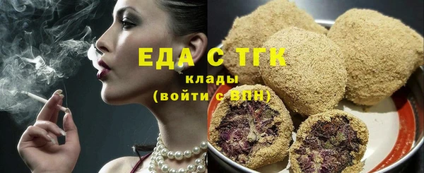 дживик Вязьма