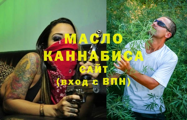 дмт Гусев